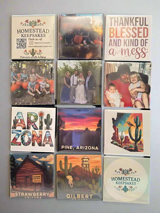 12 Pack Magnets